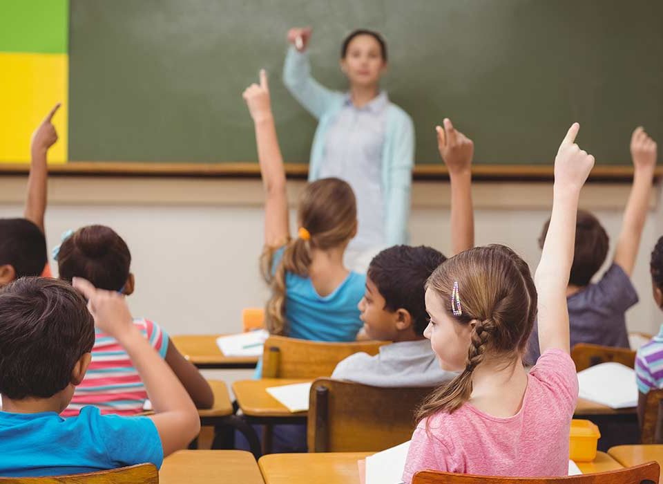 temporizzazione ruolo docenti ricorsi scuola | ricorsi scuola