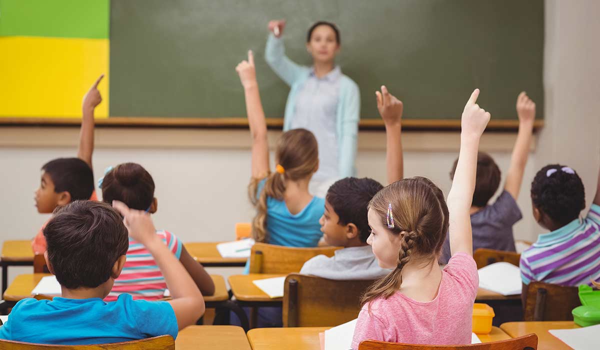 temporizzazione ruolo docenti ricorsi scuola | ricorsi scuola