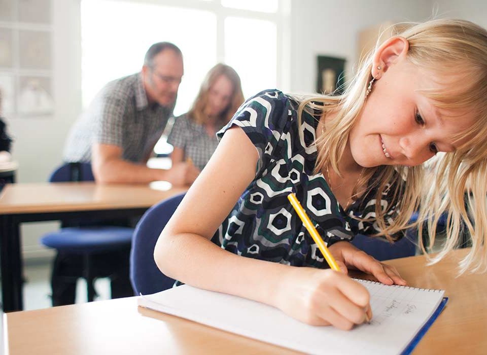 Gli abilitati in Romania possono insegnare in Italia - Ricorsi Scuola