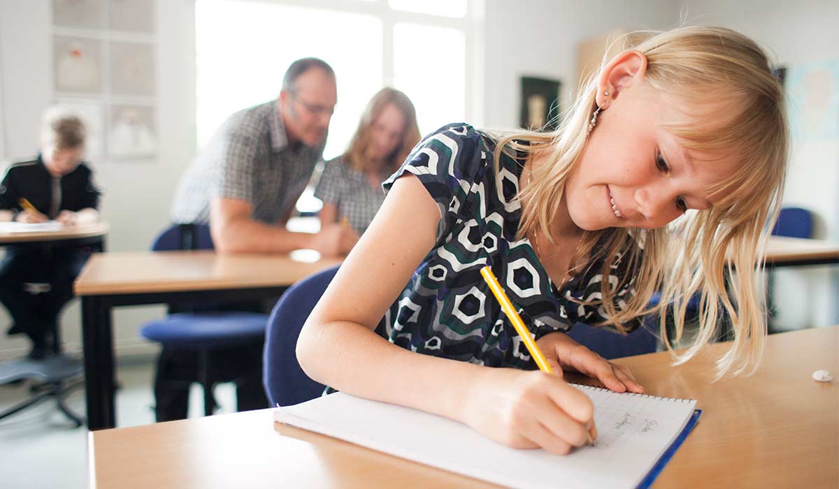 Gli abilitati in Romania possono insegnare in Italia - Ricorsi Scuola