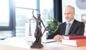 Decreto Legge N. 71/2024: Novità per Docenti di Sostegno e Formazione
