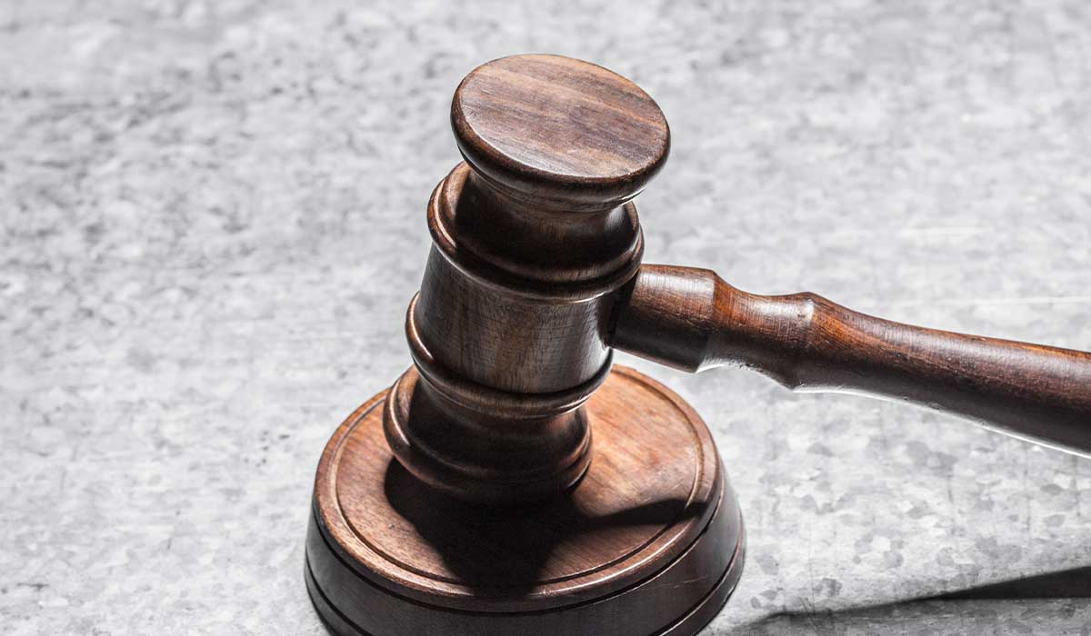 Servizio Civile Universale e Concorso PNRR: il TAR Lazio riconosce la riserva del 15%